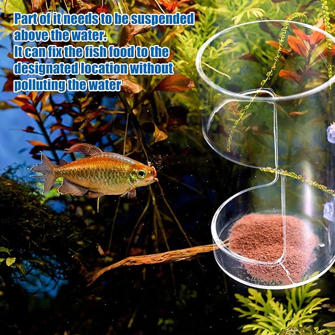 2pcs Fish Feeder for Aquarium, Transparent Fish Tank Dish Tray with Suction Cup Floating & Sinking Food Container Holder Dispenser for Turtle Shrimp Feeding (Circle & Square)
