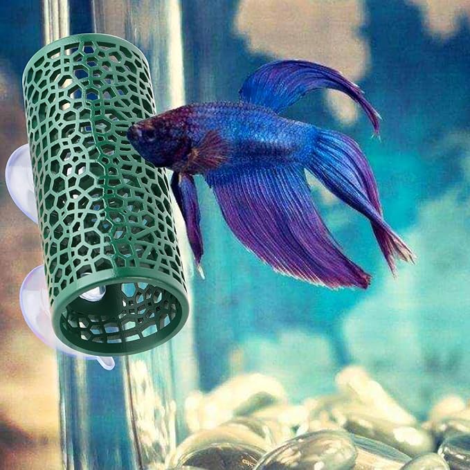 Abizoo Betta Toys - Dark Green Hollow Betta Fish Tunnel & Reptile Hide - Safe Enrichment Aquarium Decor