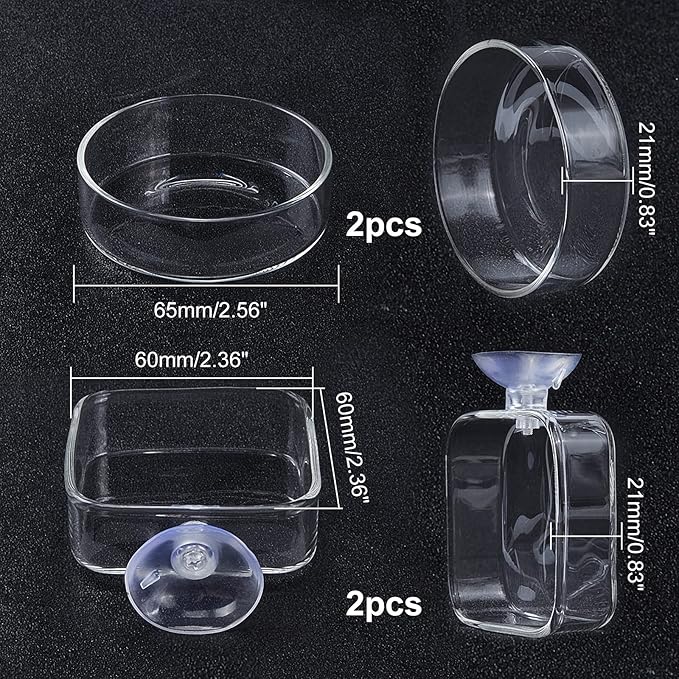 SUPERFINDINGS 4Pcs 2 Styles Transparent Glass Aquarium Shrimp Food Feeder Dish Fish Tank Feeding Bowls Dishes Flat Round Square Clear Feeding Bowl
