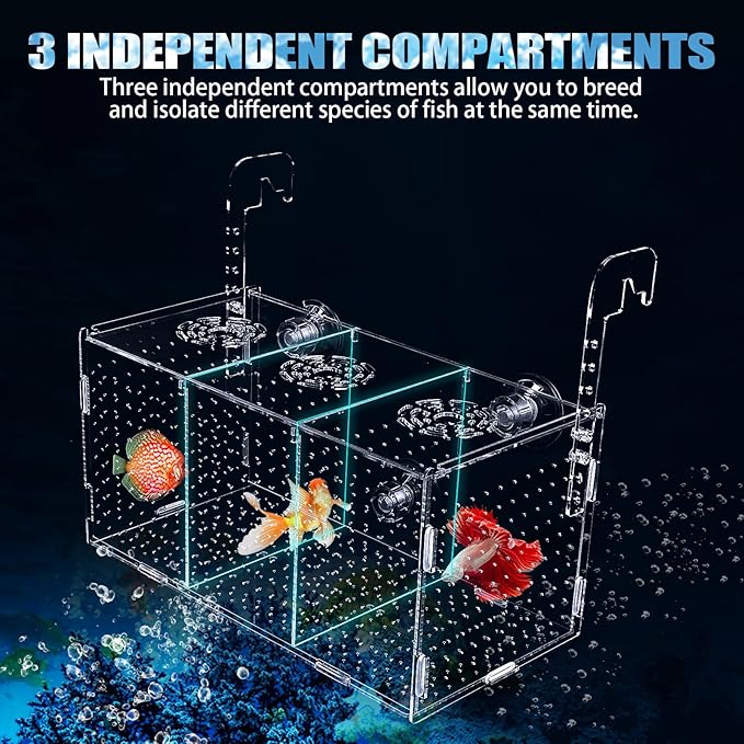 Fish Breeding Box, Acrylic Isolation Box Aquarium Hatchery Incubator with Suction Cups for Newborn Fry, Shrimp, Guppy, Clownfish, Aggressive Fish, 11.5" x 6" x 6"
