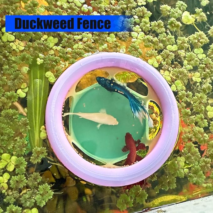 HOZOE Floating Betta Fish Hideaway, Aquarium Suspended Resting Spot, Feeder for Small Fish and Shrimp, 3D Printed, Decorative Floating Cave Accessory for Aquariums. (Color)