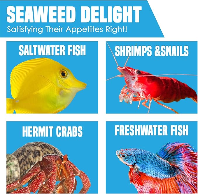 JOR 20 Seaweed Sheets for Tangs, Angels, Plecos, Shrimp, Snails, Nutrient- & Vitamin-Rich, Dried Snack for Bottom Feeders, Increased Palatability for Grazing Fish, 1 oz. Pet Feed