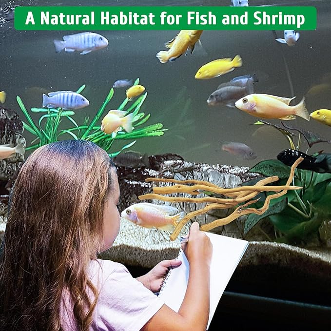 kathson Natural Driftwood for Aquarium, Red Moor Driftwood Mix 12''-16'' Long Driftwood for Decorations Aquarium Driftwood Assorted Shapes Natural Aquarium Decor Driftwood(100g,Delicate Branches)