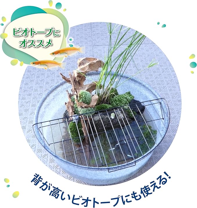 GEX Medaka Genki Large Lid for Breeding Pots, Semicircle Dedicated Lid, Fine Wire Mesh, Protects Medaka from Predators, Steel