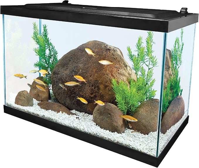 Tetra Aquarium, 20 Gallon, Complete Tropical Fish Tank Kit with LED Lighting for Freshwater Fish