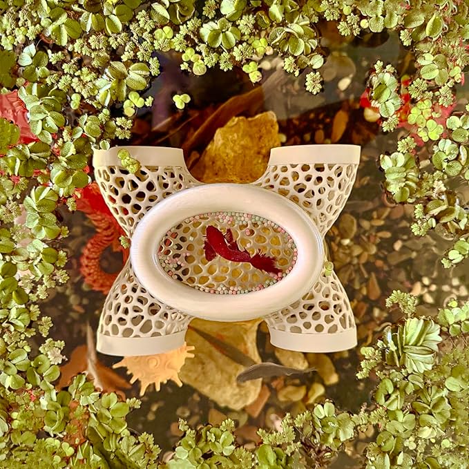 Aquarium Floating Betta Fish Log, Hide Tunnel and Hammock Toy, Small Fish Or Shrimp Hide Resting Cave, Floating Feeder, Feeding Ring, Tank Accessories Decoration (Wood Color)