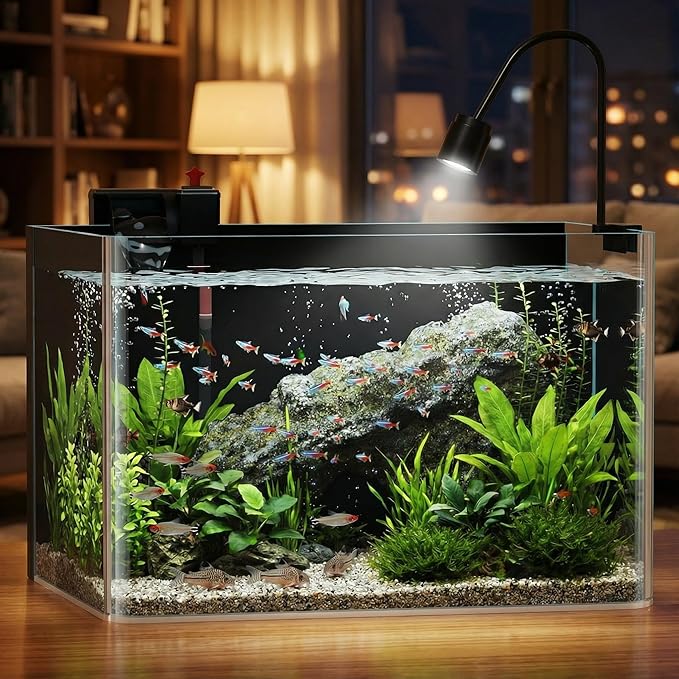 10 Gallon Hot-Bent Black-Back Fish Tank, Aquarium Fish Tank,Easy to Maintain Small Aquarium for Betta/Goldfish/Snails/Shrimp and Aquatic Planting, Perfect for Home, Office, and Decor