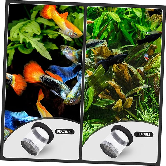 Ipetboom Guppy Breeder Box Aquarium Isolation Fish Hatchery Tank with Transparent Cover for Newborn Fry Protection and Pregnant Guppy Separation