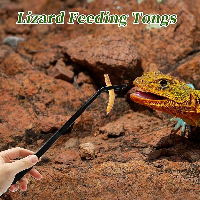 Reptile Feeding Tongs, Stainless Steel Lizard Feeding Tongs, Aquarium Curved Feeding Tweezers for Reptiles with Rubber Tip, Terrarium Feeding Tongs for Gecko, 14.96" Length, Black