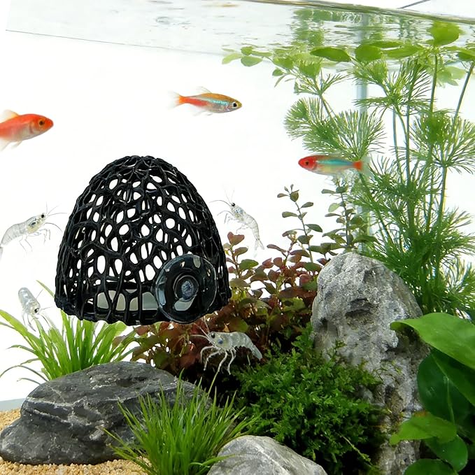 Cave with Suction Cup, Aquarium Betta Fish Hideout Habitat Decor, Stable Resting Hiding Place for Cherry Shrimp, Dwarf Shrimp, Guppy and Small Fish (Black)