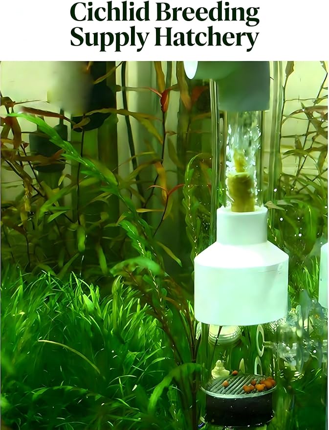 Aquarium Egg Incubator Tumbler - 50mm Fish Hatchery for Cichlids and Mouth-Brooding Species