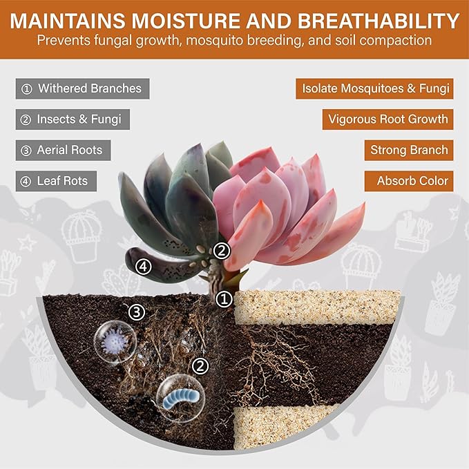 NUPICK 1mm Horticultural Sand for Plants, 10lb Coarse Sand for Landscaping, Desert Silica Horticultural Grit for Succulents & Cactus, Decorative Gravel for Aquariums, Gold Grit for Bonsai, Vase