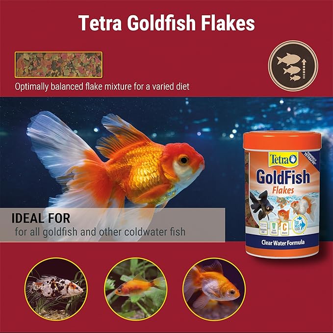 Tetra Goldfish Flakes, Nutritionally Balanced Diet for Aquarium Fish, Vitamin C Enriched Flakes, 7.06 oz (Pack of 2)