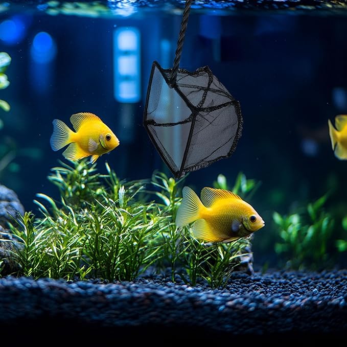 Mogoko 2 Pack Aquarium Net Fish Net, Small Net, Multi-Size Fine Mesh Aquarium Net with Long Plastic Handle for Fish Tank