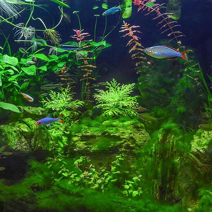 Aquarium Filter Media Floss, 78.7 inch Cut to Fit Pond Filters for Outdoor Ponds and Fish Tank, Aquarium Filter Floss for Fish Tank Sponge Pad Foam Filter Accessories for Pond
