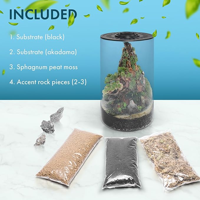 SubstrateSource Bio Cylinder - Glass Plant Terrarium Kit - Glass Terrarium w/LED Grow Light, Adjustable Ventilation Lid, Substrate, Moss & Accent Rocks - Bio Cylinder 200