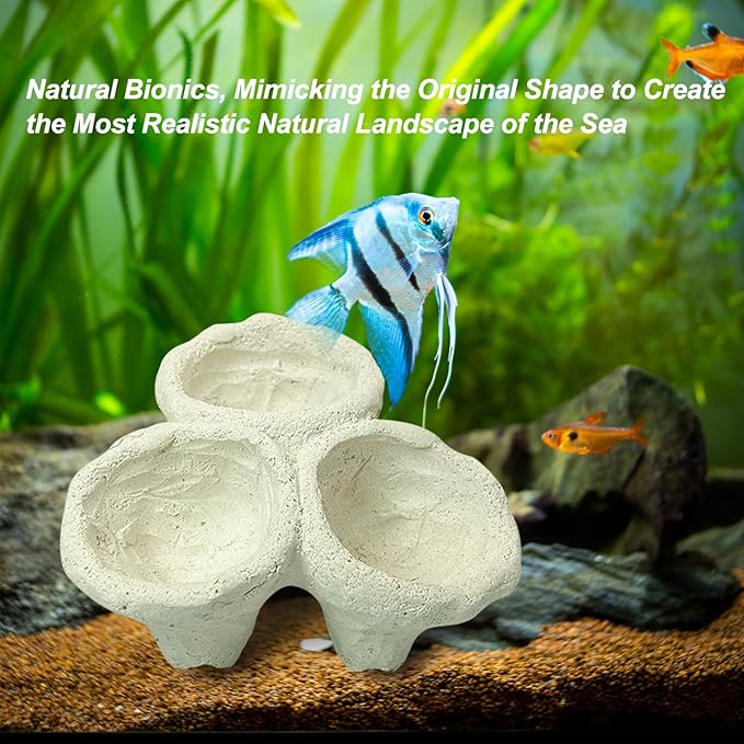 Anemone Nest,Fish Tank Decorations,Saltwater Aquarium Accessories,Aquarium Decor,Anemone Coral Ideal Habitat (Medium)