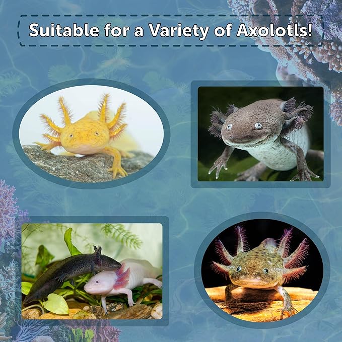 Axolotl Food 1/4" Soft Moist Sinking Salmon Pellets for Adult Axolotl Also Shrimp, Snails, Crabs, Crayfish, Bottom Tropical Fish...12oz Small Jar