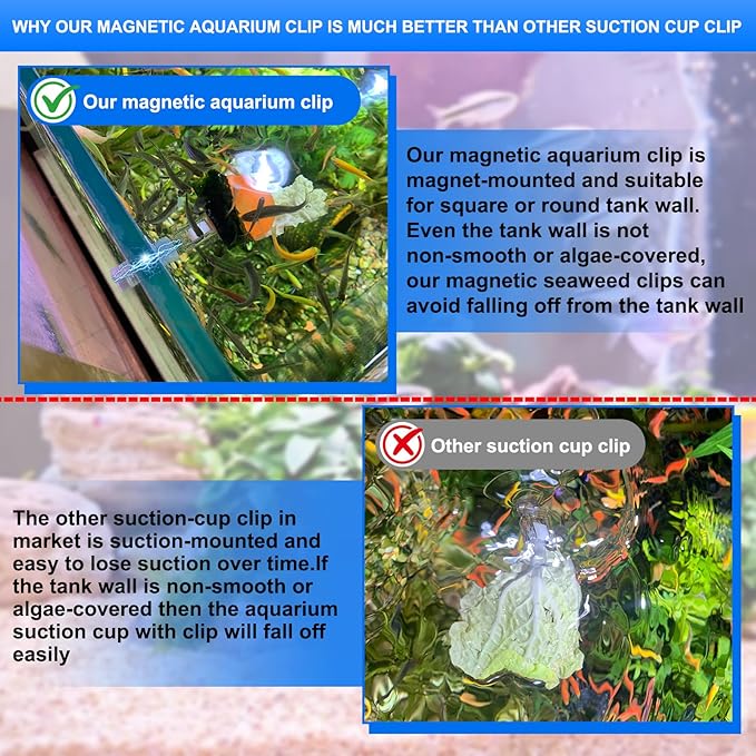Waterproof Magnetic Seaweed Clip for Saltwater Fish Feeding nori Clip Aquariums Magnet Veggie Feeder Plant clamp Fish Accessories—Patented Product (1pcs Magnetic Veggie Clip)