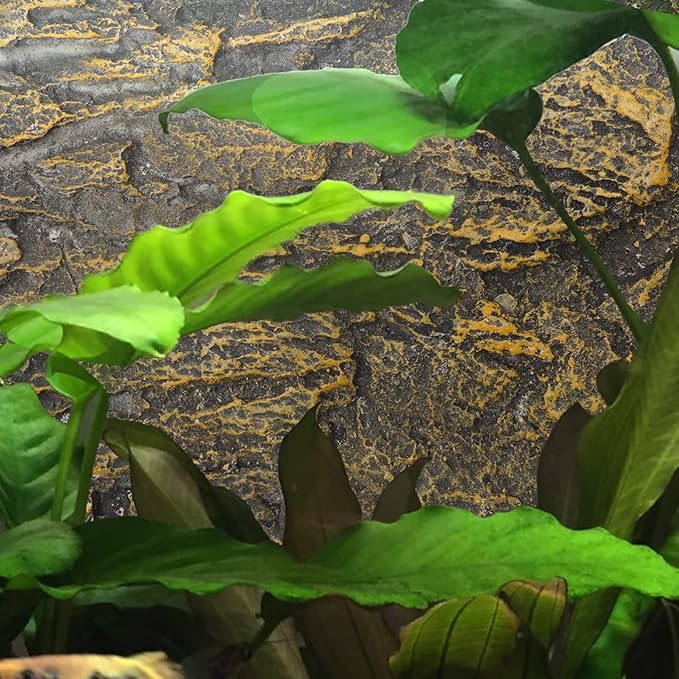 Dragon Decor Terrarium Background 3D Tank Background Board Stereo Backdrop Wall Snake Habitat Decor for Lizard Bearded Dragon Gecko Spider Turtle Fish Glass Containers