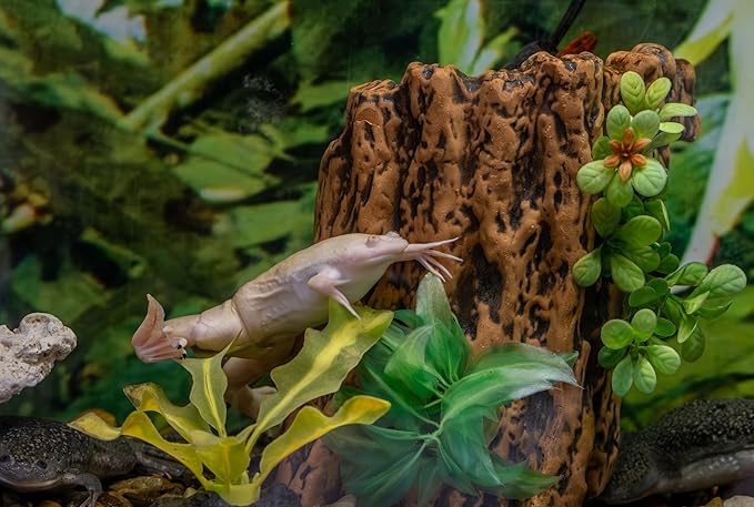 Dwarf Aquatic Frog Food Mix Soft Pellets 1.2 & Blackworm Pellets 1.0 Axolotls A452F (16oz)