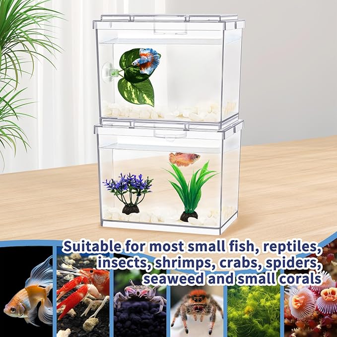 MoonOrange Mini Betta Fish Tank, Small Fish Bowl for Temporary Space, 0.2 Gallon Stackable Cube Tank with Artificial Plants and Gravels for Small Fish, Insect, Shrimp, Crab, Spider.(Pack-2)