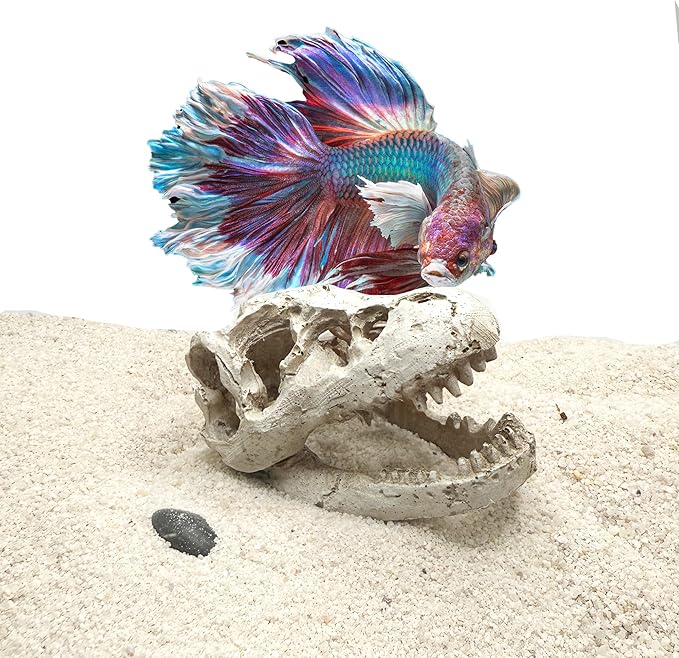 Mini T-Rex Skull Aquarium & Reptile Tank Decor – Dinosaur Fossil Hideout for Fish, Geckos, Hermit Crabs, and Terrariums – Small Resin Jurassic Decoration for Aquascape, Vivarium, or Pet Habitat
