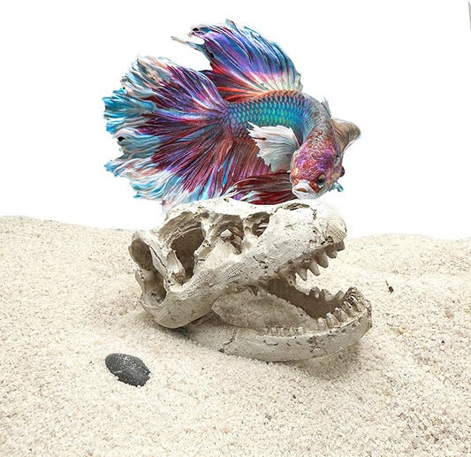 Mini T-Rex Skull Aquarium & Reptile Tank Decor – Dinosaur Fossil Hideout for Fish, Geckos, Hermit Crabs, and Terrariums – Small Resin Jurassic Decoration for Aquascape, Vivarium, or Pet Habitat
