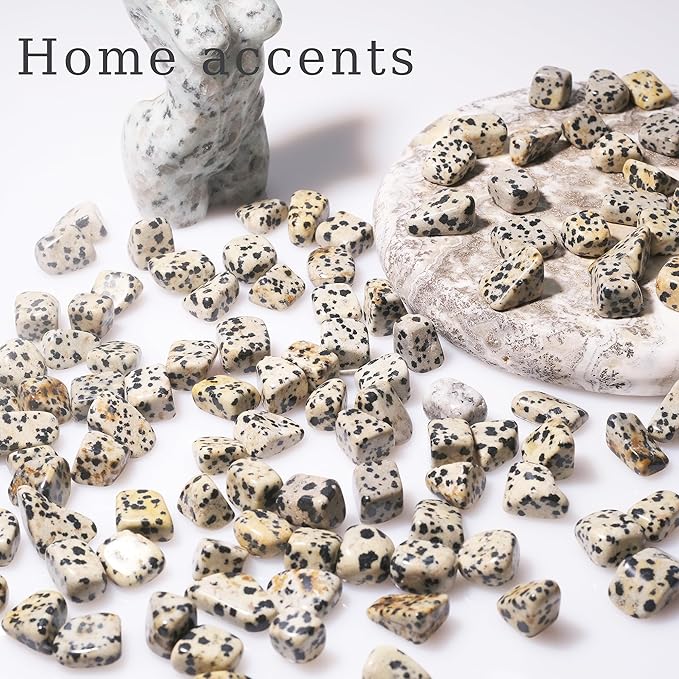 Tumbled Dalmatian Jasper Crystal Chips Bulk 1lb, Healing Gemstone Chips Bulk, DIY, Vase Filler, Succulent Soil, Creative Pebble, Potting Mix, Garden Decor, Aquarium Gravel & Fish Tank Rocks