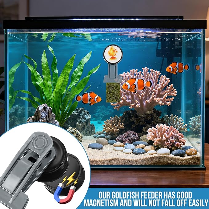 Goldfish Feeder, Saltwater Aquarium Accessories Supplies Algae Magnet Seaweed Feeder Aquarium Magnetic Clips, Fish Tank Feeding Ring Suitable for Aquatic Pets