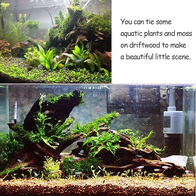 Kathson 4 PCS Aquarium Driftwood Decoration - Natural Branches for Fish Tank, Reptile Terrarium Habitat - Assorted Sizes Wood Accessories