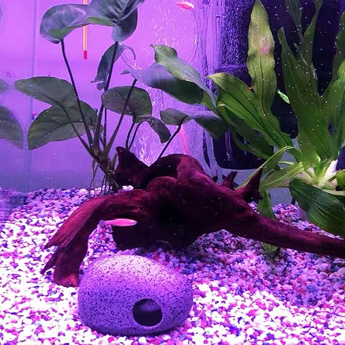 Kathson 4 PCS Aquarium Driftwood Decoration - Natural Branches for Fish Tank, Reptile Terrarium Habitat - Assorted Sizes Wood Accessories