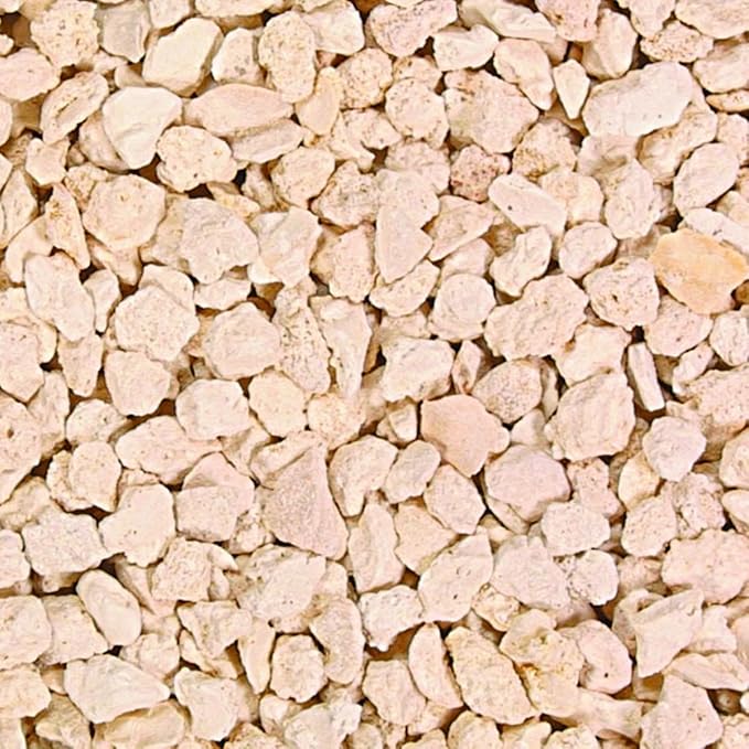 Carib Sea Carib Caribbean Coral 40Lb Saltwater Crushed & Sand