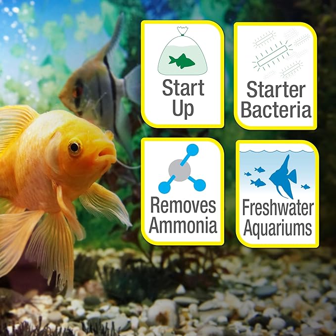 Tetra SafeStart Plus, For Newly Set-Up Fish aquariums, 100 ml, 3.38-Ounce
