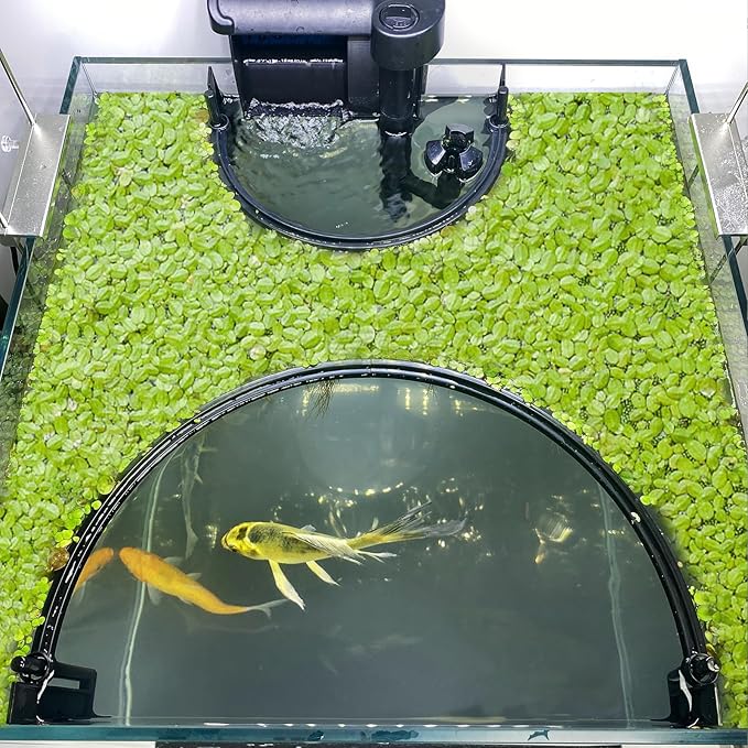 Floating Plant Corral for Aquarium, Fish Tank Accessories to Protects Duckweed from Filters, Automatically Adjusts Height According to Water Level, Suitable for All Duckweed and all aquariums(Style 2)