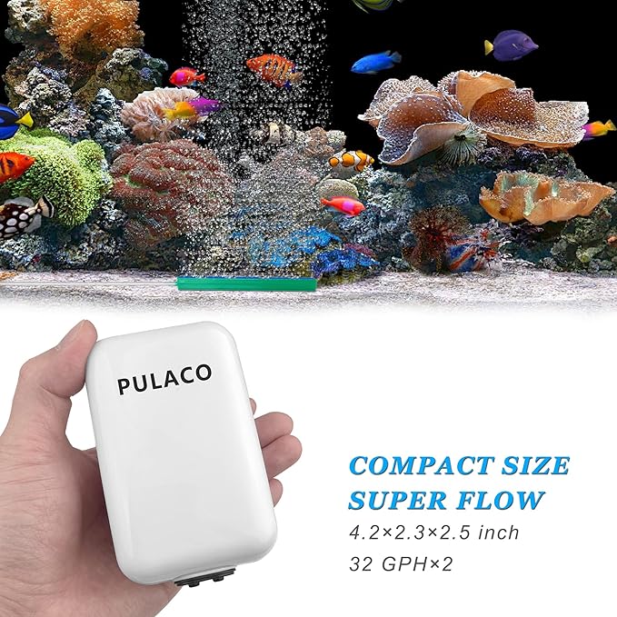 PULACO Dual Outlet Aquarium Air Pump, Quiet Oxygen Pump with Accessories for 10 to 100 Gallon