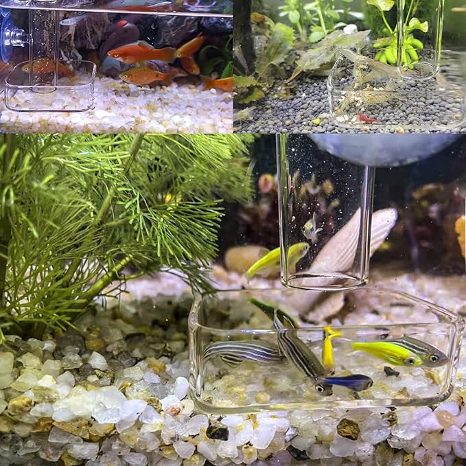Aquarium Shrimp Feeder Dish Glass Fish Tank Feeding Bowls, 1pcs Round Glass Food Bowl (60mm), 2pcs Square Fish Feeding Bowls with Suction Cups (60mm)
