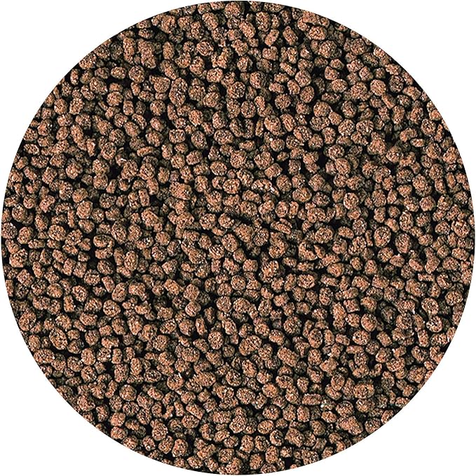 Hikari Marine-S Pellets Fish Food for Smaller Marine Fish