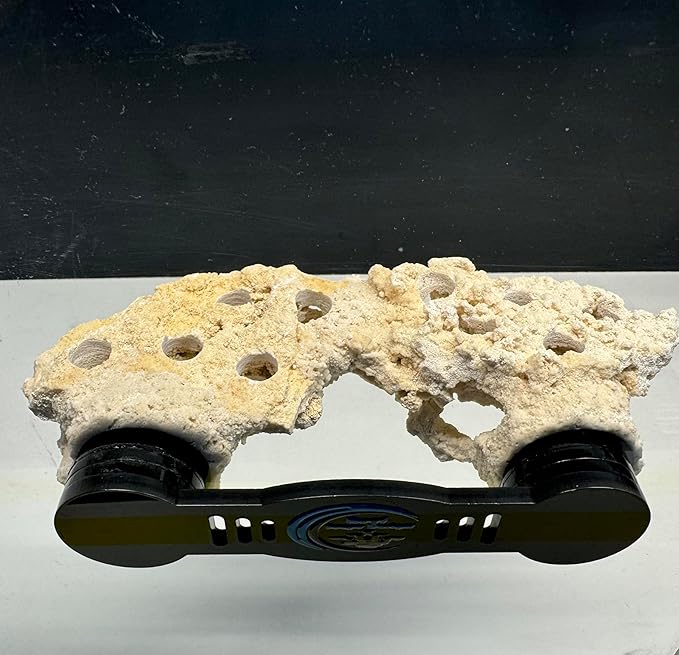 Magnetic Coral Reef Rock Frag Rack
