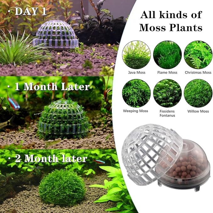 2 Pack Aquarium Moss Ball Holder, Hollow-Designed Plastic Plant Holder with Filter Stone for Shrimp & Fish Tank Decorations