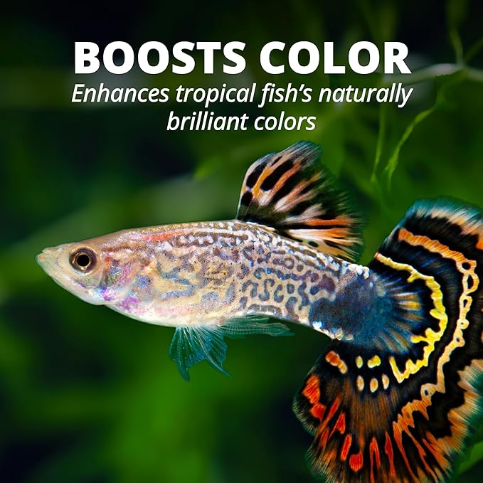 TetraColor Tropical Flakes, Color Boosting Fish Food, Nutritionally Balanced Diet for Tropical Fish, 2.2 lbs