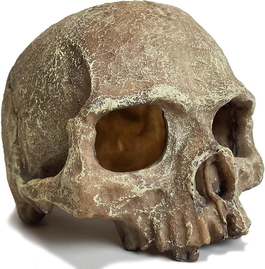 Aquarium Decoration for Fish Tank Skull Head Skeleton Aquarium Ornament Decorative Cave Landscape Aquarium Decor Reptile House Cave Fish Tank Decoration - Small