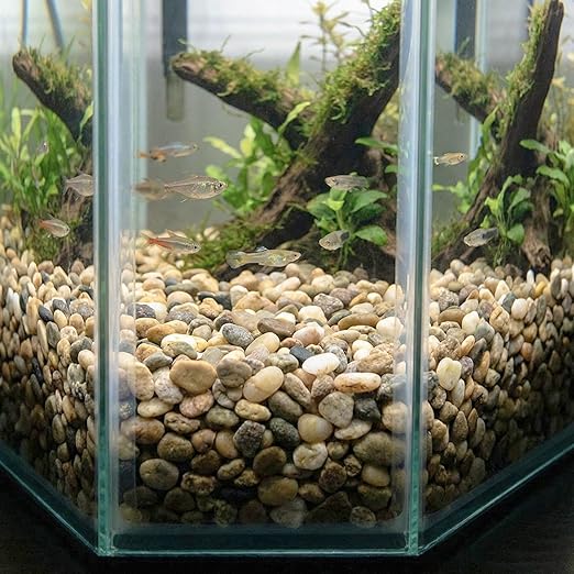 River Rocks Decorative Ornamental Vase Filler 0.5" - 0.75" Natural Aquarium Gravel 30 lbs - Landscaping Pebbles for Indoor Plants, Succulents,Terrarium & Home Decor, DIY & Crafting – Royal Imports