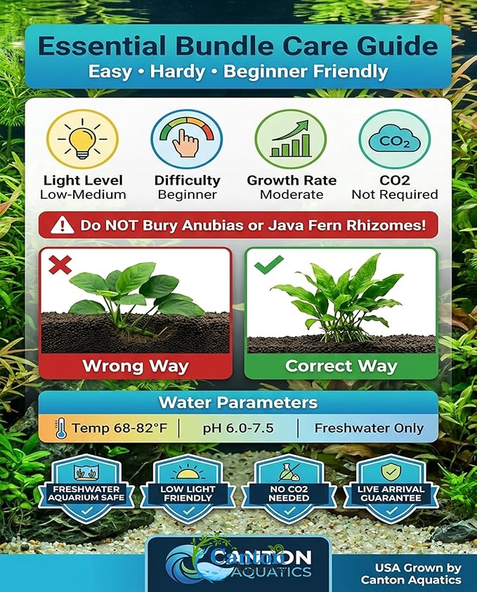 Live Aquarium Plants Essential Bundle 4 Pack for Up to 60 Gallon Tanks, Assorted Freshwater Plants