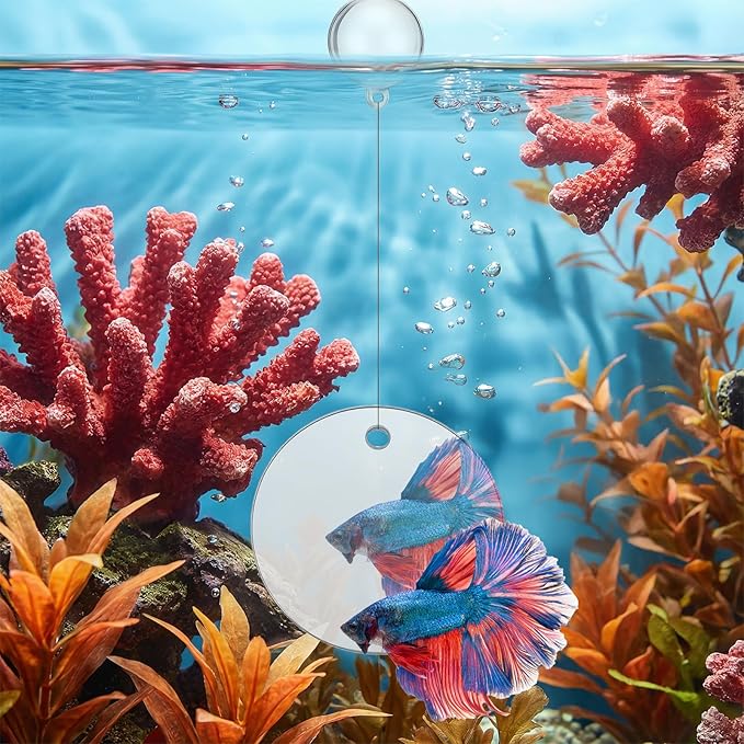 Xthrotsenk 2 Pcs Betta Enrichment Toys Beta Fish Toys for Tank Beta Exercise Ring Floating Mirror Set Fish Feeding Ring Bettas Tank Accessories for Aquarium