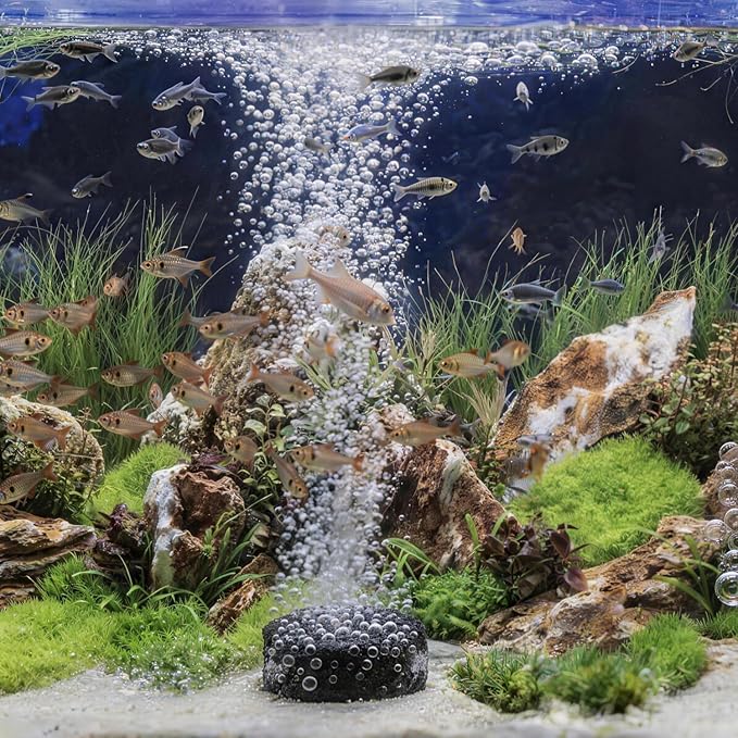 Wenshall 1.6 Inch Air Stone, Aquarium Air Stone, Air Stone for Fish Tank and Hydroponics Air Pump