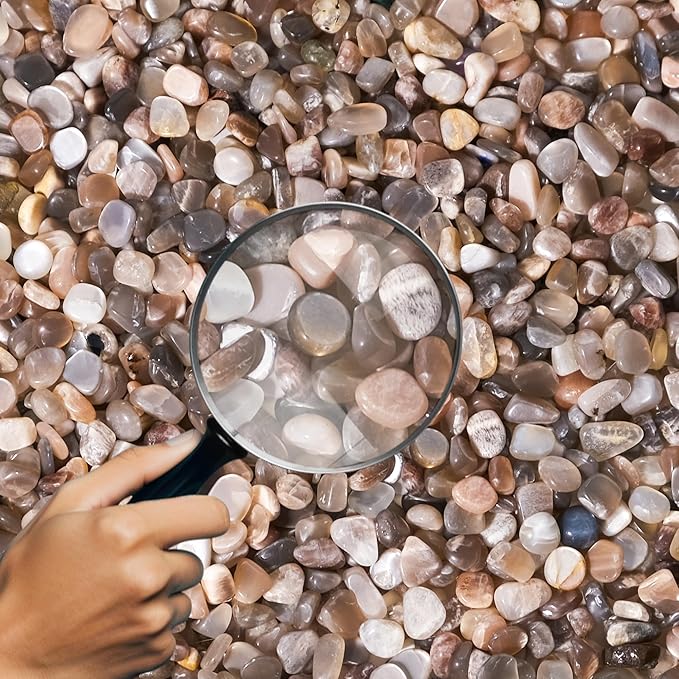 Black Moonstone Crystal Chips 1lb (850+ pcs) – 5-8mm Natural Mystical Stones for Aquarium Decor, Moon Gardens – Protective Gemstones for Fish Tanks, Plant Rituals & Psychic Shielding