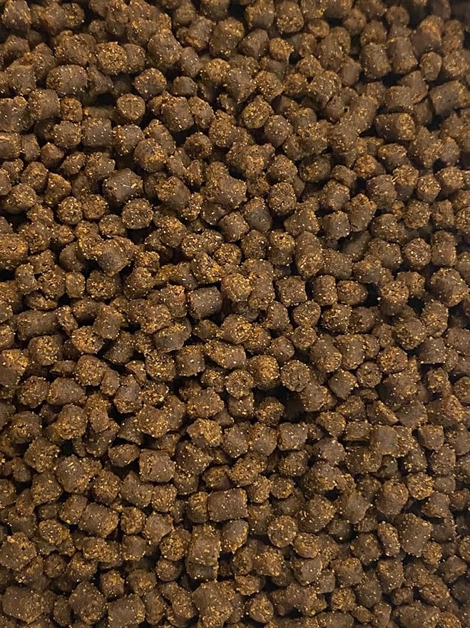 Axolotl Food Soft Moist Sinking Pellets for Axolotls,1/8" 3.2mm Rangen Salmon Sinking Soft Pellets with Squid,Shrimp & Spirulina A4R (8oz)
