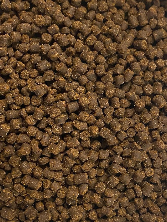 Axolotl Food Soft Moist Sinking Pellets for Axolotls,1/8" 3.2mm Rangen Salmon Sinking Soft Pellets with Squid,Shrimp & Spirulina A4R (48oz - 3 LBS)