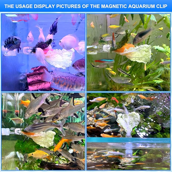 Magnetic Aquarium Veggie Clip Plant Feeding nori Seaweed Clip for Saltwater Fish Aquarium Magnet Lettuce Food clamp Fish Accessories—Patented Product (2pcs Magnetic Veggie Clip)